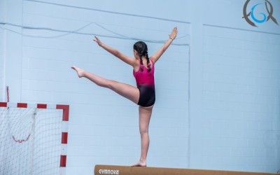 II Fase Liga Escolar Ximnasia Artística Feminina e Masculina